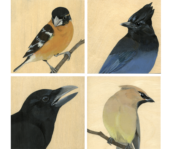 5"x5" Bird Paintings by Kristen Etmund